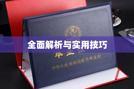 东莞全面解析与实用技巧