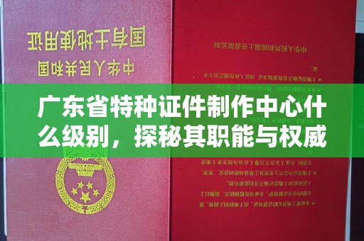 东莞广东省特种证件制作中心什么级别，探秘其职能与权威性