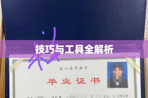 东莞技巧与工具全解析