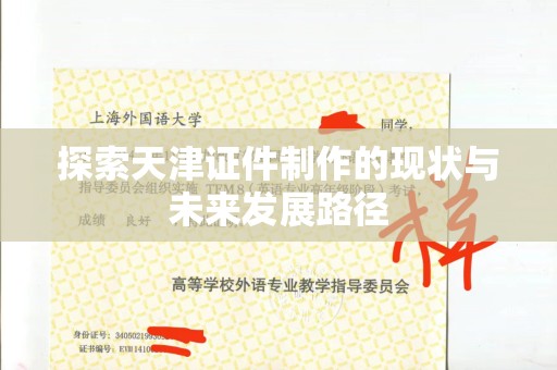东莞探索天津证件制作的现状与未来发展路径