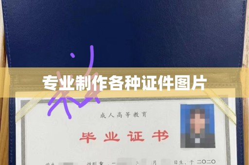 东莞专业制作各种证件图片